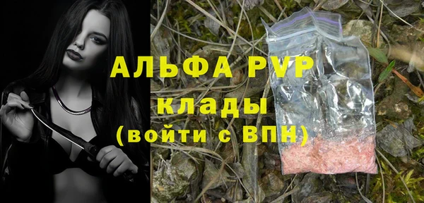 спиды Арсеньев