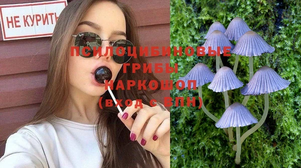 прущая мука Аркадак