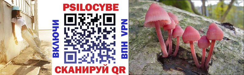 Псилоцибиновые грибы Cubensis  hydra ССЫЛКА  Армянск  где можно купить  
